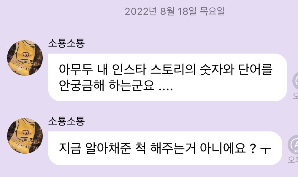 요미와 501 궁금한거 티내야 하는 이유