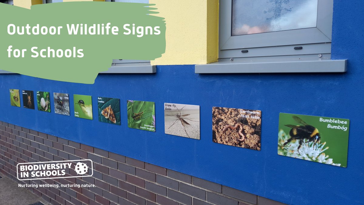 🦊Last orders for our OUTDOOR WILDLIFE SIGNS 🐸 Build a school nature trail! An easy, effective & fun way to spend time outside & complement #wellbeing #ecoliteracy #STEM & #SESE Closing 19th April biodiversityinschools.com/outdoor-wildli… #biodiversity #schoolgarden #nature #outdoorclassroom