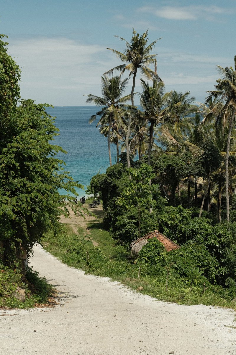 stopdotcom's tweet image. Bali 💙