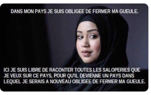 @Delph93403175 @morandini_live @ljacobelli @MathiasLeboeuf @JM_Sylvestre @Loralisparis Dans le cadre de la #LoiImmigration
citation de @EmmanuelMacron 
Chacun en France, dans les villes et campagnes, doit prendre sa part de migrants 'obligatoire' sinon la France est redevable de 20.000 € pas refus de migrant 
C'est  juste une conséquence, il y en aura d'autres..