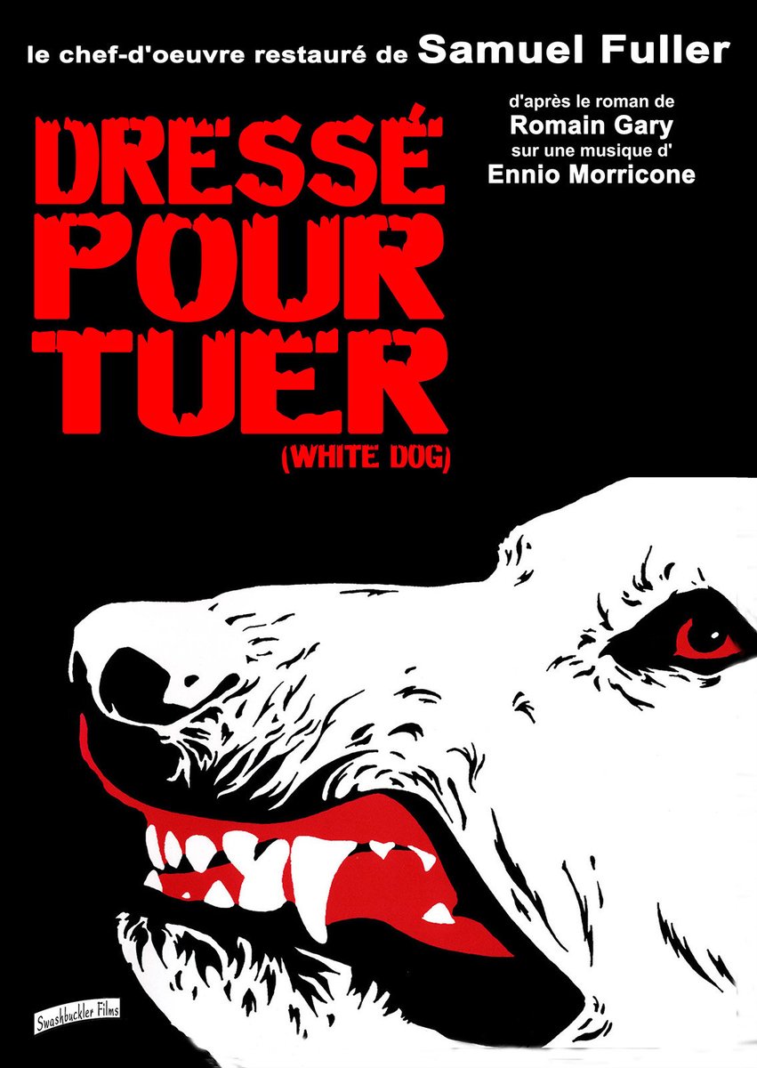 Vous l'avez compris : nous sommes particulièrement heureux de vous annoncer que DRESSÉ POUR TUER, le chef-d'œuvre de Samuel Fuller uniquement sorti en VHS en France, arrive bientôt en Édition Collector DVD & Blu-ray ! 🔥🔥🔥 Début des précommandes au mois de mai ! ❤️