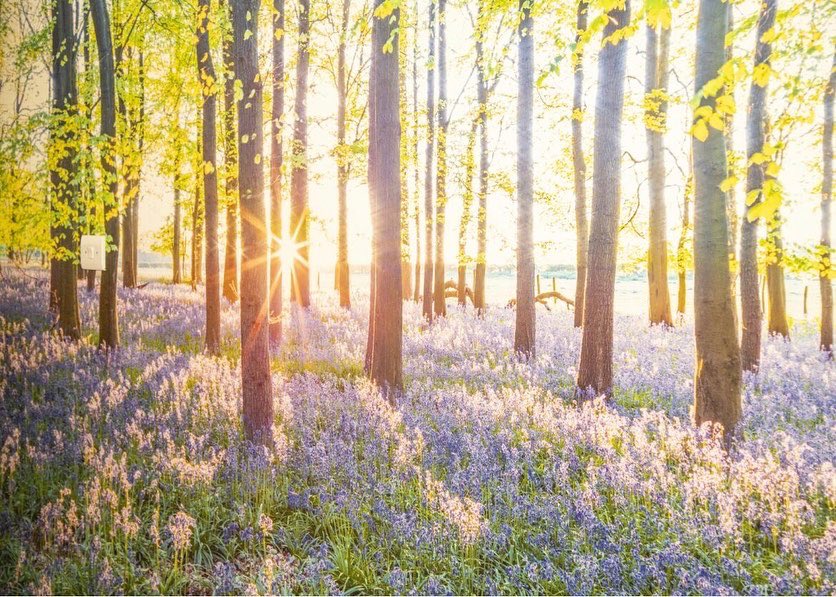 Lewisham and Greenwich NHS Trust tweet media