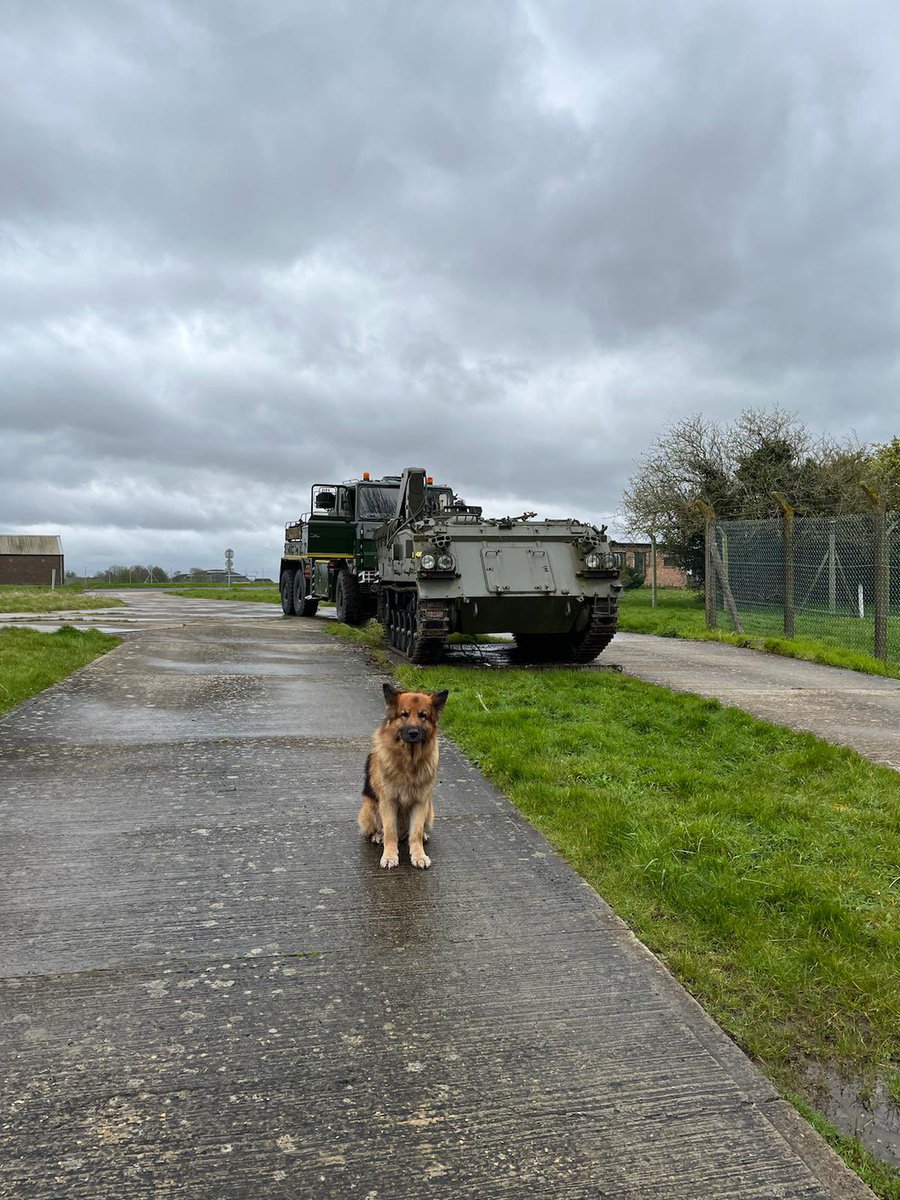 Joining in for #PetDay on #MuseumTwitter with our lovely Foden 😍 who is the pet dog of our Reserve Collection Manager and posed here in front of the 434 as it was being moved!