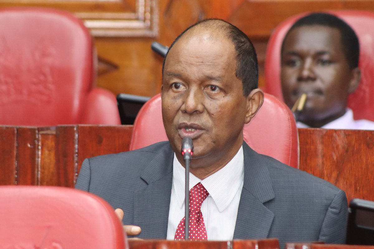 Legislators acknowledged the nominee's experience. MPs sought details on how the nominee would leverage the position as Permanent Representative to Geneva to advance Kenya's development agenda.