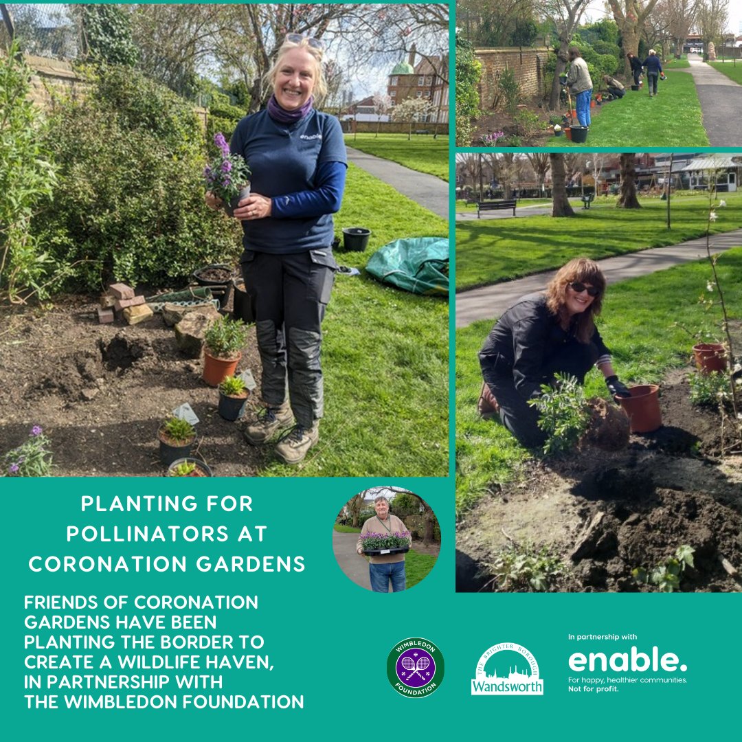 Since November 2023, @CoronationGdns in partnership with @WimbledonFdn, have been helping with community planting sessions to transform the border of the park into a haven for wildlife. A range of wildlife friendly species have been planted such as Erysimum, Hebe and Helenium 🪴