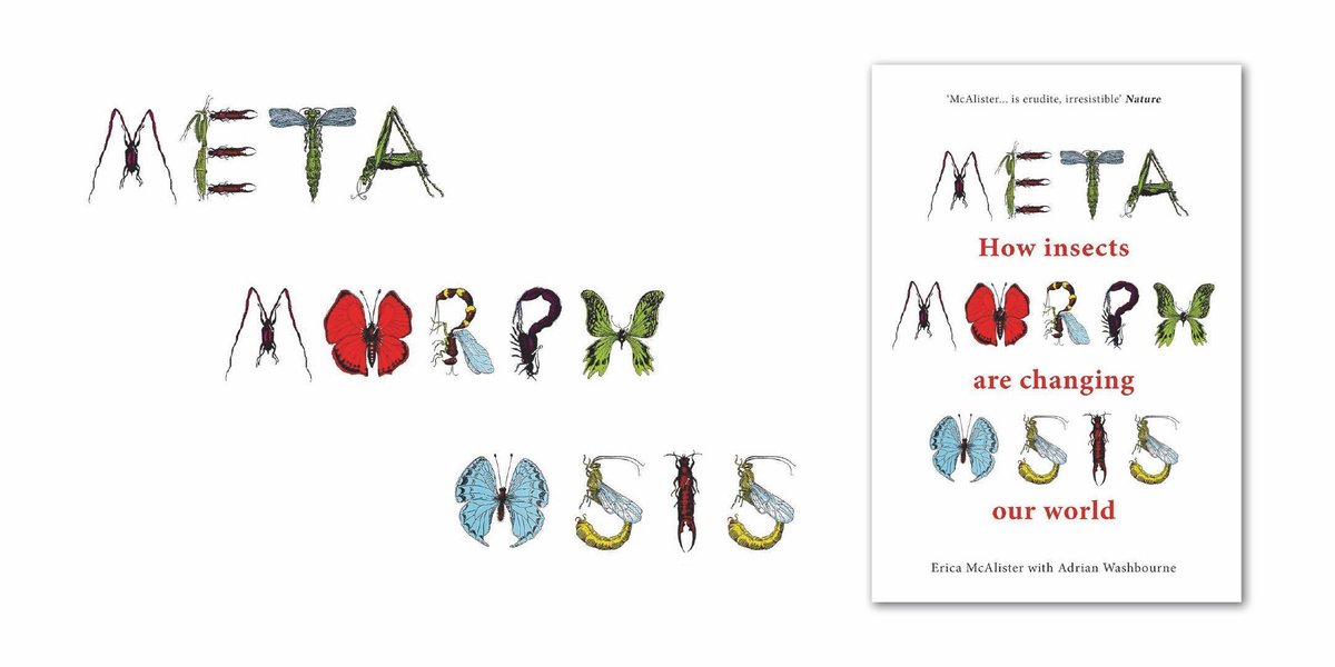 Insects are amazing! 🪰 Inspired by their fascinating Radio 4 series, Metamorphosis, join Erica McAlister and Adrian Washbourne as they explore how insects are changing our world - from robotics to forensics: norfolkwt.uk/metamorphosis @TheForumNorwich @flygirlNHM @BBCRadio4