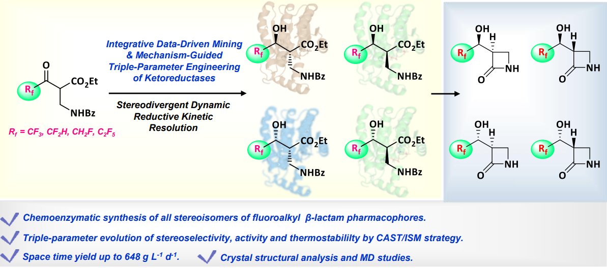 Check out our most recent work on the topic of enzyme catalysis for the synthesis of chiral organofluorine compounds：Now published in ACS Catalysis-Enzymatic Stereodivergent Access to Fluorinated β-Lactam Pharmacophores via Triple-Parameter Engineered Ketoreductases.