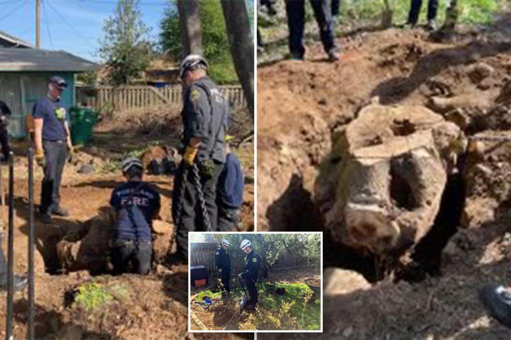 nypost's tweet image. Homeowner crushed to death by 1.2K-lb tree stump he was trying to remove from backyard trib.al/tFD5HxA