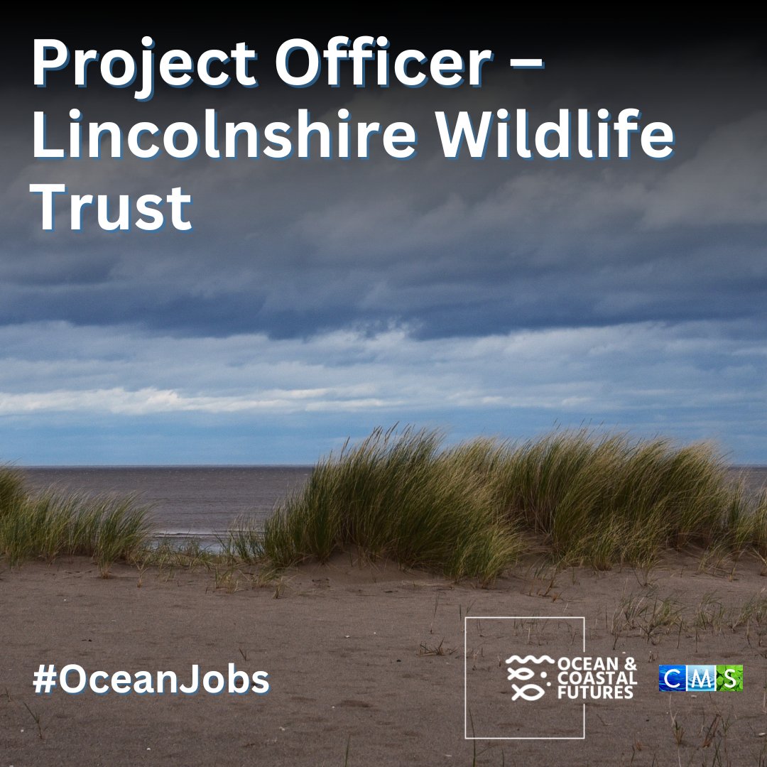 🔔New #job: #Saltmarsh #Restoration and Sand Dune Enhancement Project Officer – @LincsWildlife Trust
▪️Salary: £25,000
▪️Closing: 30 April
▪️Details here 👉 cmscoms.com/?p=38730
📩Sign up for #OceanJobs alerts here 👉 lnkd.in/e6cXgx5a

#vacancy #hiring