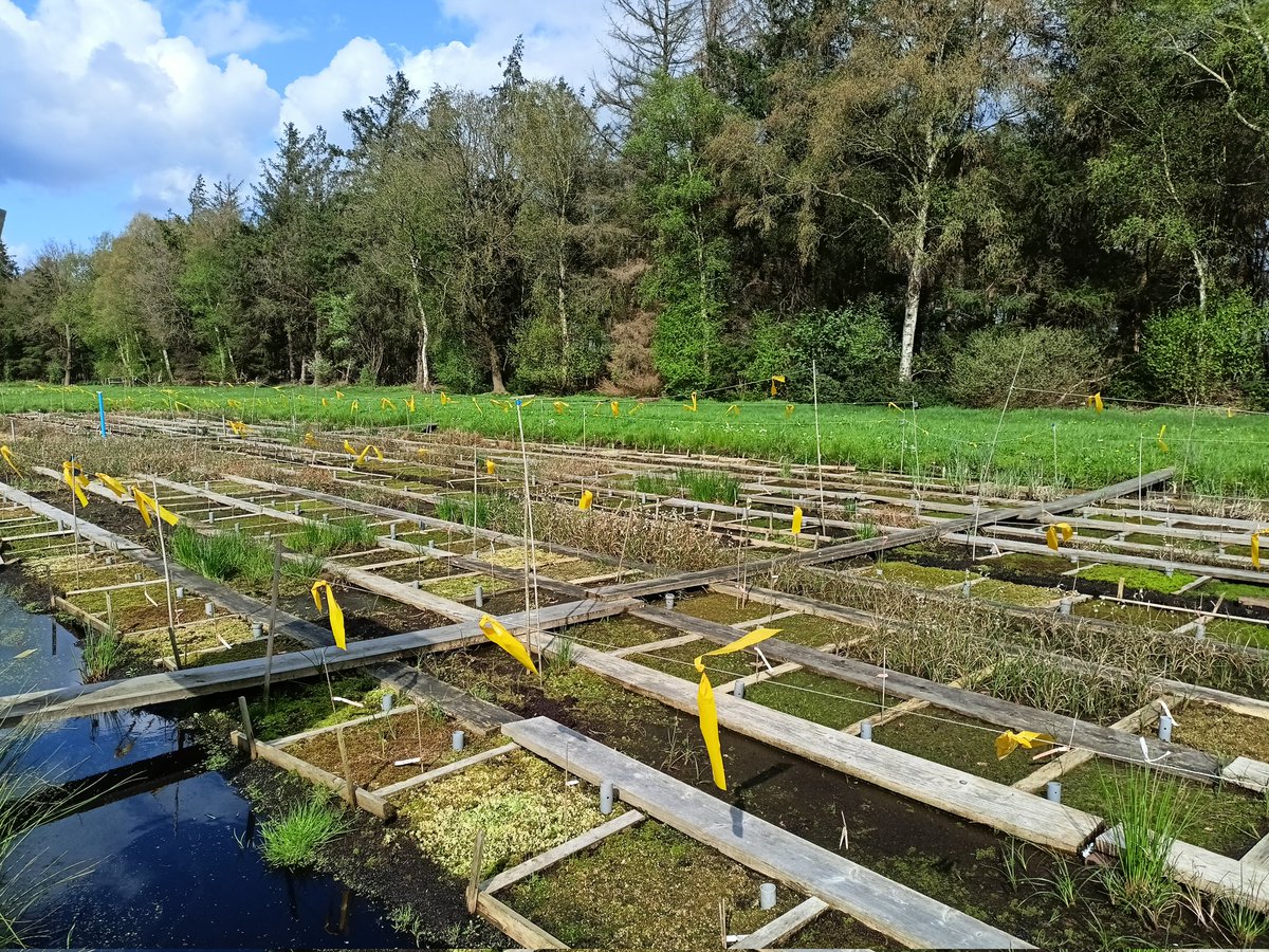 Philipp Maurischat tweet media