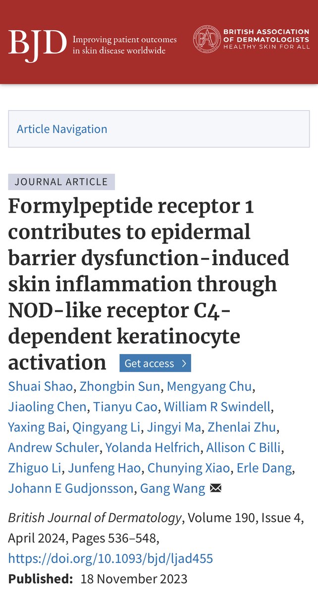 In this translational study, the authors identify a novel pathway involving formylpeptide receptor (FPR)1-NOD-like receptor (NLR)C4 inflammasome activation to drive proinflammatory responses in barrier-disrupted skin. doi.org/10.1093/bjd/lj…