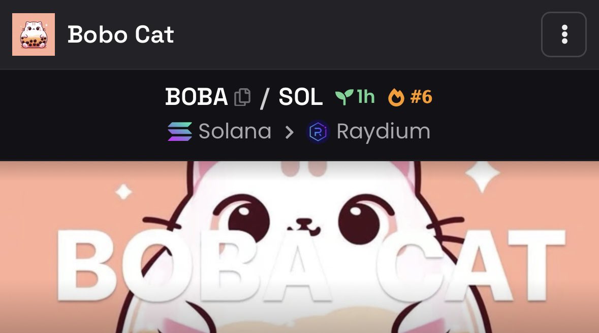Boba_Cat_Sol's tweet photo. The heat is rising.🔥#6
#BobaCat https://t.co/hMArFhxq3q