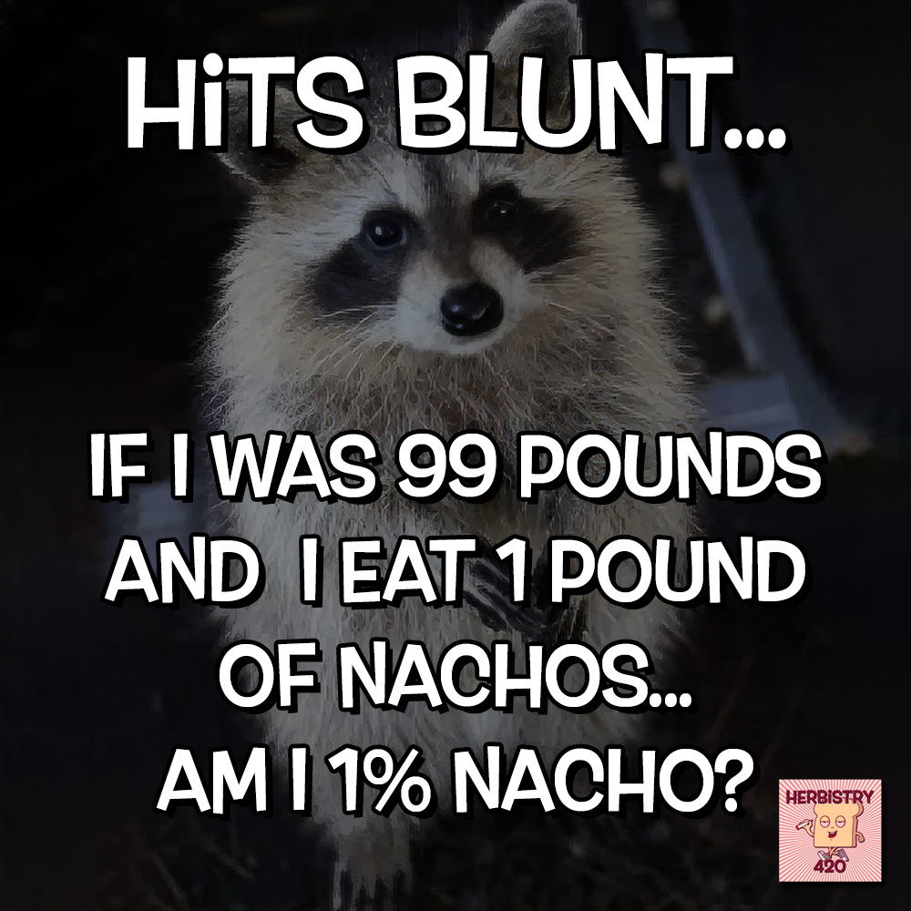 Hits blunt 🤔😂
.
#weedmemes #cannabismemes #meme #memes #cannabis #weed #marijuana #stonerthoughts #dablife #abluntaday