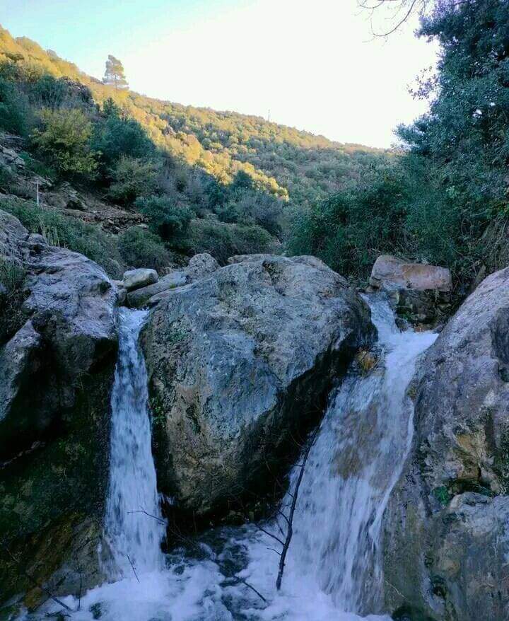 🟩بين جبال🏔 بـاتنـــة و خنشـلة 🇩🇿♥️
🟩 توجد قرية مخفية عبارة عن جنة فوق الأرض🌍 إنها قرية "الكانطينة" . 😍
🔴يمكن الوصول إليها إنطلاقا من باتنــة عبر طريق  بلدية فم الطوب أو عبر طريق  بلدية إشمول، أو عبر بلدية أولاد فاضل (دوفانة).
🟩القرية الجنة تابعة  لـ بلدية يابوس ولاية خنشلة