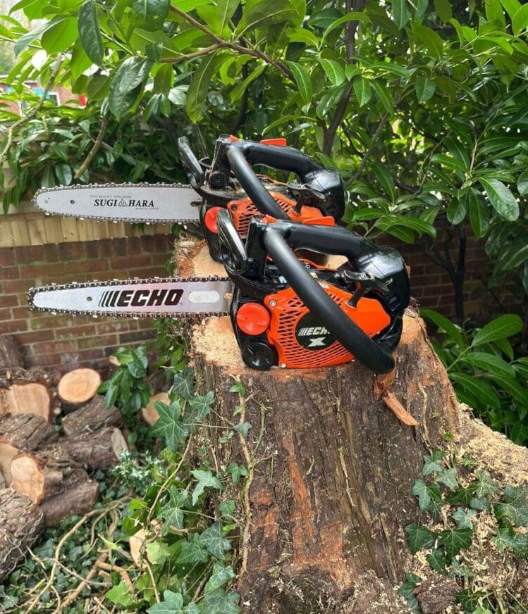 TreeProLtd's tweet image. Tree Pro LTD: Your Premier Choice for Tree Surgery in Ashford📍

In the picturesque town of Ashford, amidst the rolling hills and lush greenery of Kent, Tree Pro LTD emerges as the premier choice for all your tree surgery needs. 

Read more here👉 bit.ly/3PUp0Zv