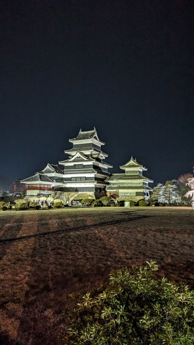松本城、夜桜会。