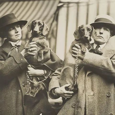 In honour of National Pet Day, enjoy Radclyffe Hall and her partner Lady Una Troubridge with their daschunds (competing at Crufts). You can learn more about the history of pets in the Bibliography of British and Irish History (#BBIH) buff.ly/3L7a33B