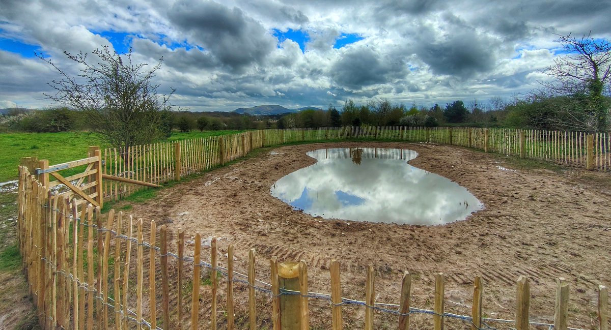 Denbighshire Countryside Service has completed work on a new pond at Bruton Park Community Woodland. Full story here 👉 bit.ly/3TWa5io