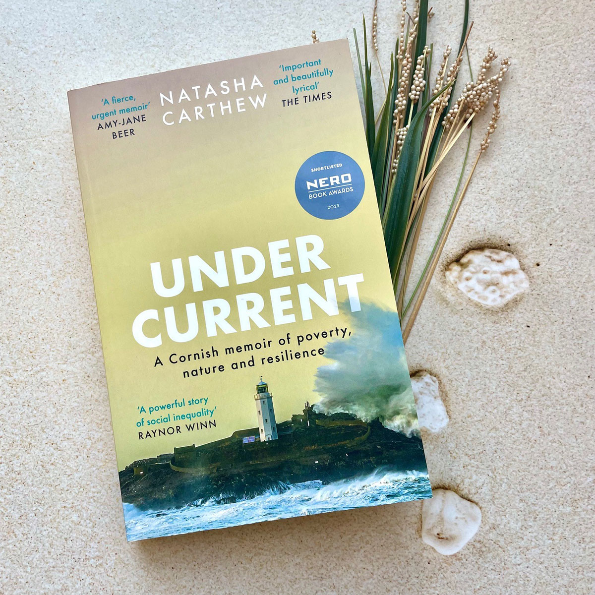 'A powerful story of social inequality' RAYNOR WINN 'By turns marvellous, moving and mesmerising' ANITA SETHI Shortlisted for the Nero Book Awards, UNDERCURRENT by @natashacarthew is out today in paperback. Get your copy: brnw.ch/21wIIqc