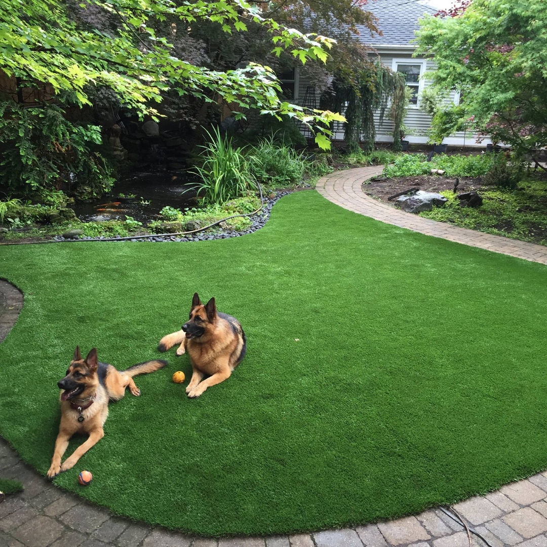 🐾 With our synthetic turf installations, you can transform that challenging space into a usable haven for both your pets and yourself. 💚 Enjoy a lush, green surface year-round without worrying about maintenance or patches.
#syntheticturf #lawn #landscaping #kemoralandscapes