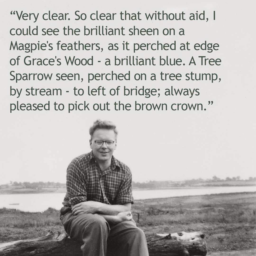 #OnThisDay in 1955. An excerpt from J.A. Baker's diaries spoke of a Magpie and a Tree Sparrow spotted at Graces' Walk. Visit Restless Brilliance: The Story of J.A. Baker and The Peregrine at Chelmsford Museum, in collaboration with @Uni_of_Essex, to discover more.