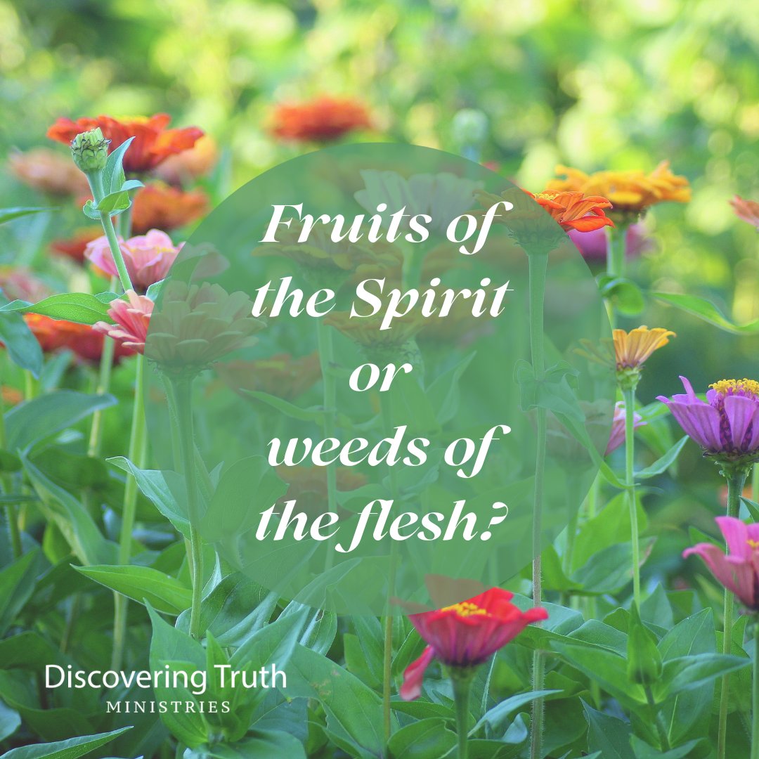 When people peer into your life, do they see fruits of the Spirit or weeds of the flesh?  Talk with God about this today.  (Galatians 5:22-23 - fruits, Galatians 5:19-21 - weeds)

#JamieAdeleWood  #DiscoveringTruthMinistries  #FruitOfTheSpirit  #WeedsOfTheFlesh  #Character