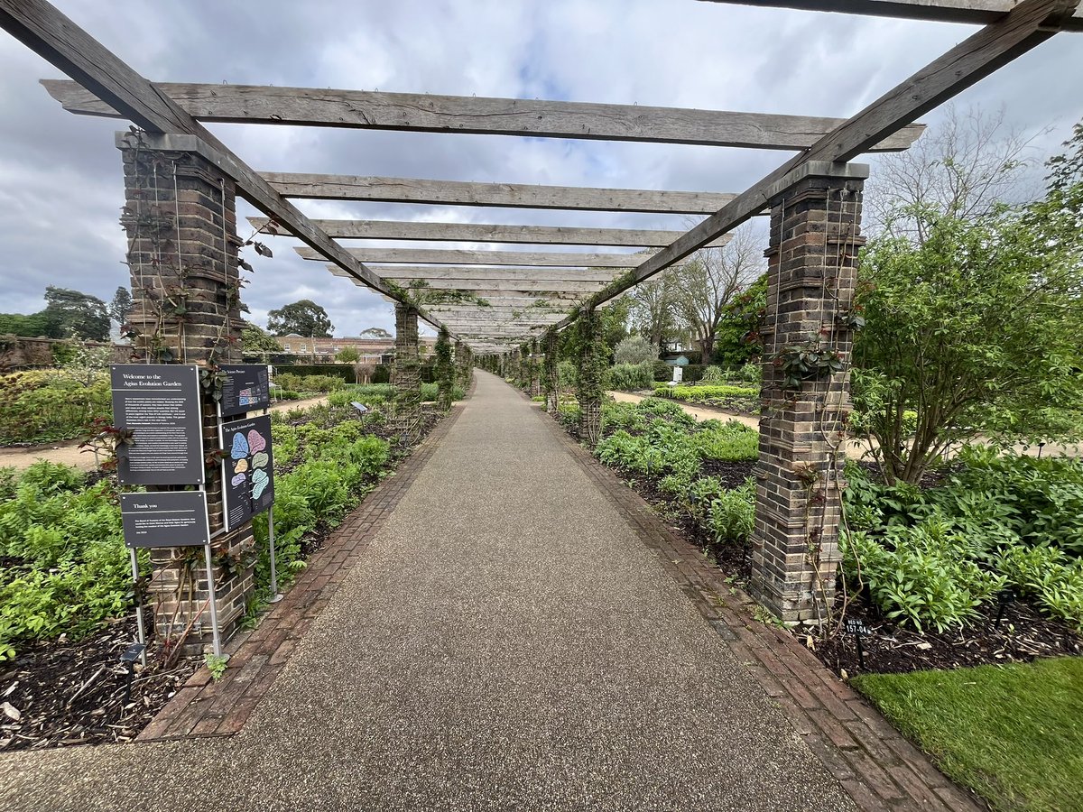 Emma Thompson tweet media