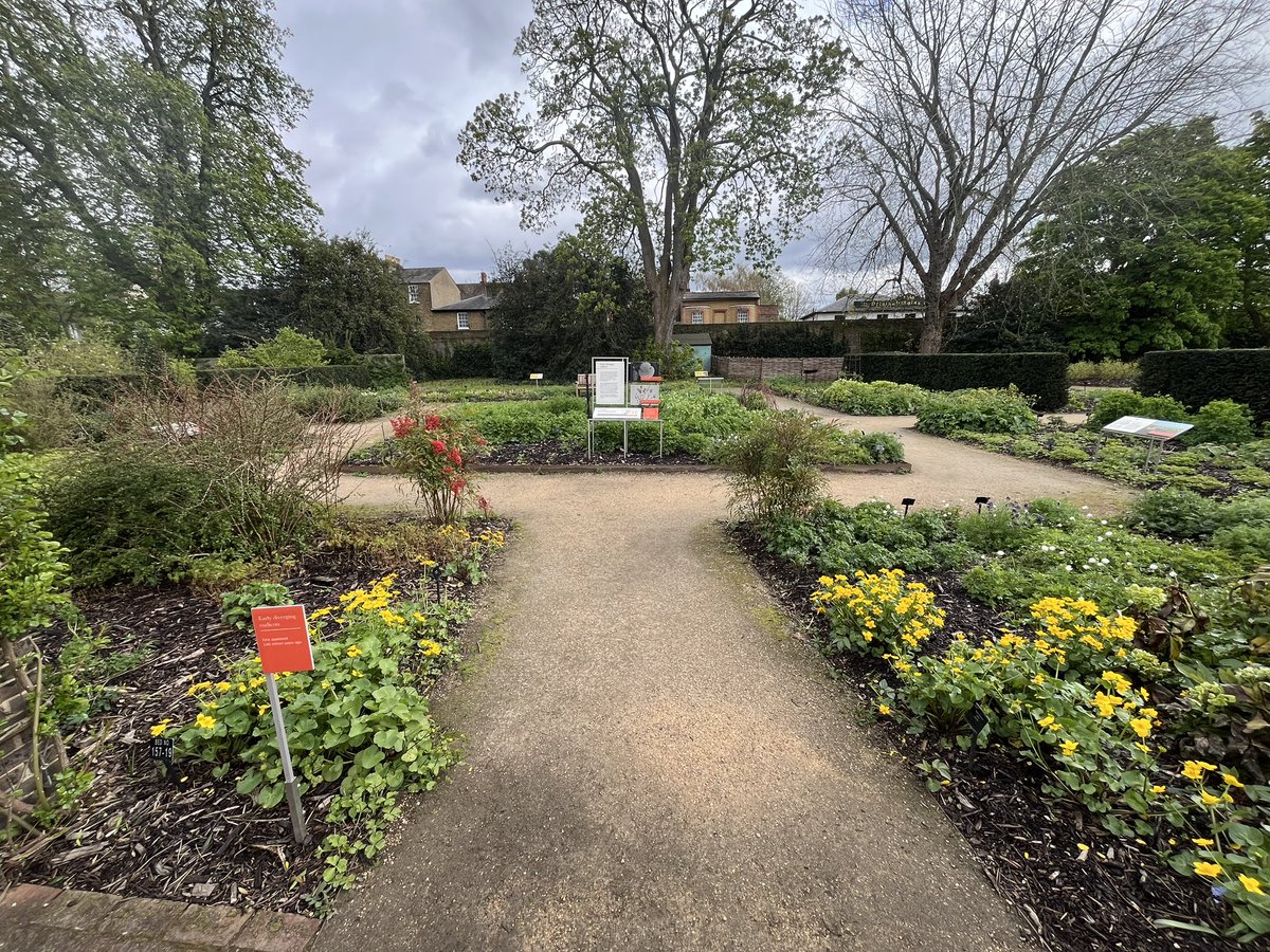 Emma Thompson tweet media