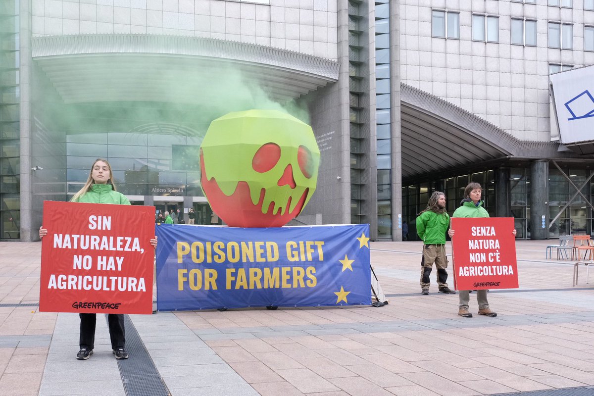 🍎REGALO ENVENENADO🍎 Llevamos una 'manzana envenenada' al Parlamento Europeo. Los ataques contra las escasas medidas que debían defender la naturaleza son un ataque contra las personas que viven y trabajan en el campo. SIN NATURALEZA, NO HAY AGRICULTURA . es.greenpeace.org/es/sala-de-pre…