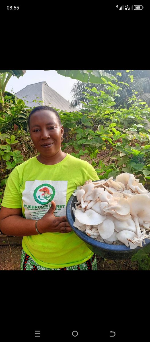 mushroomsplanet's tweet photo. #Agbatoken
The Nigerian dairy market is growing at 5% per year fueled by a growing, increasingly urbanized population demanding more dairy-based products. Domestic milk production is underdeveloped.  This can be invested in at the federal level. #Agbadovolution https://t.co/DCjJVPPA2j