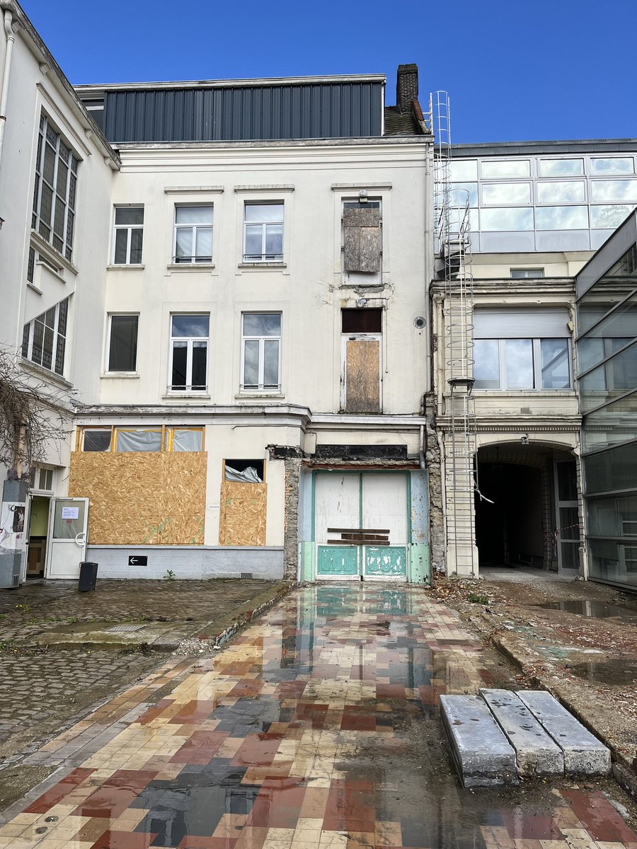 birgit donker tweet media