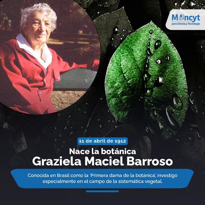 #11Abr 
#Efemérides
Natalicio de la botánica, Graciela Maciel Barroso 🌱 

#RebeldíaAntiImperialista #CienciaParaLaVida 

@Gabrielasjr @luisinfoVen @InfocentroOce @BrigadasCHCH @enunclicvlc @icarabobo2021