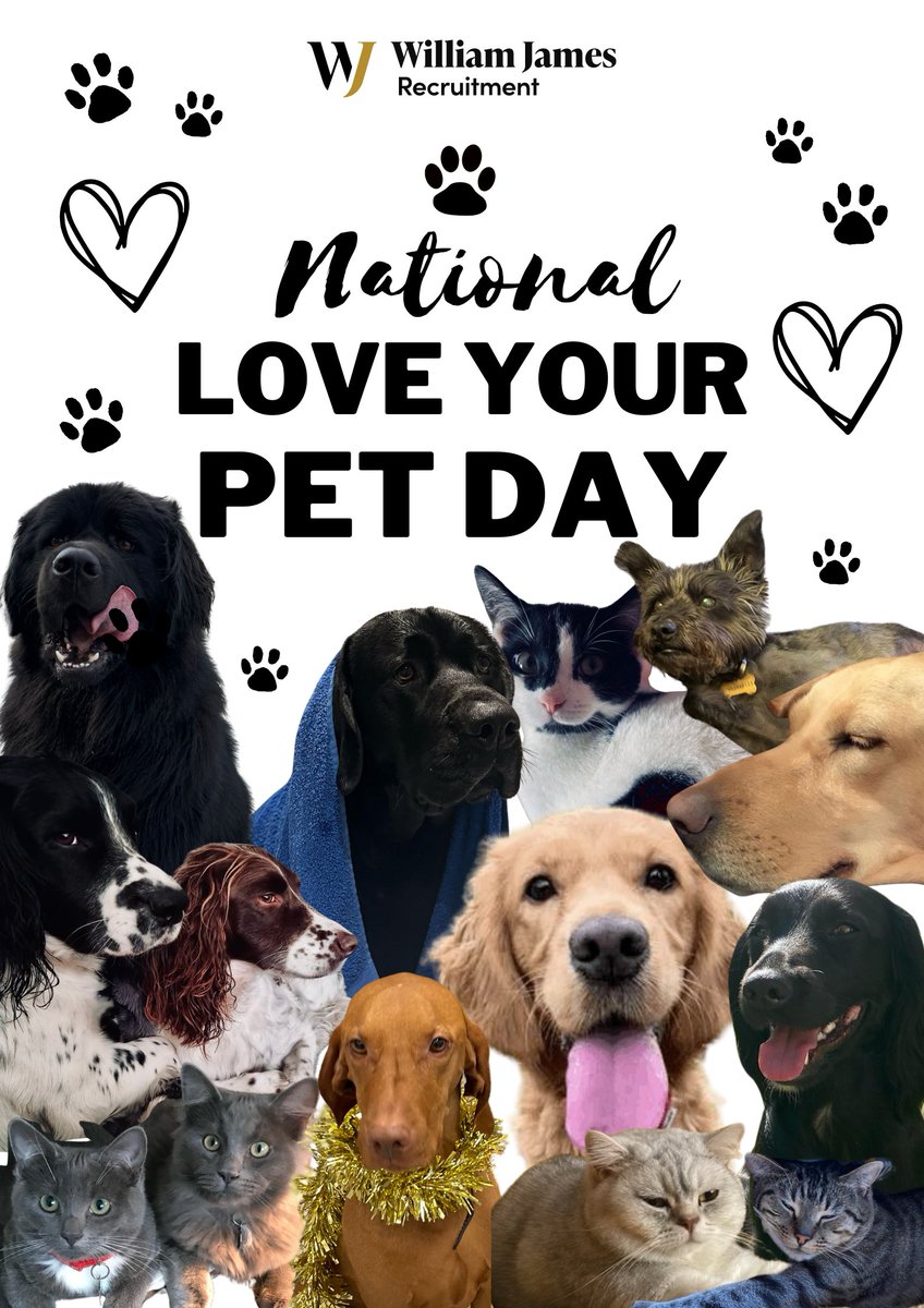 Behind every great recruiter.....is a great pet! 🐶🐱

#nationalpetday #furryfriends #legalrecruitment