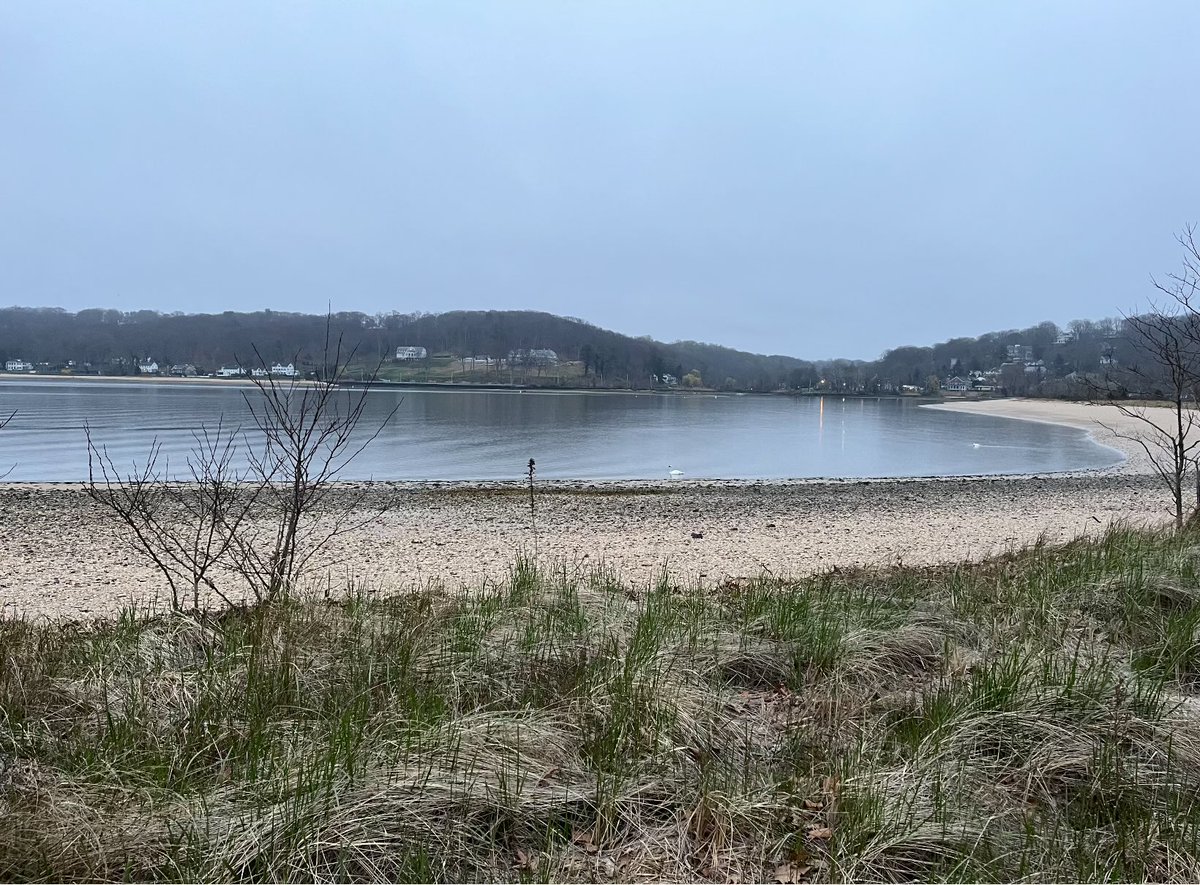 Drizzly Cold Spring Harbor at dawn, low tide.