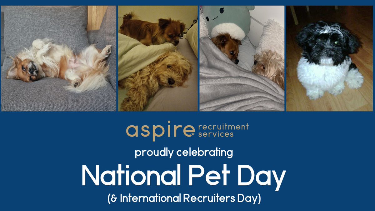 Did you know, there’s an #InternationalRecruitersDay? & a #NationalPetDay! …🤯 … and they’re both TODAY! 🙌 So when I (try) and limit myself to just one #SocialMedia post a day, how do I choose which to celebrate? 🤔👇 #DogsOfX