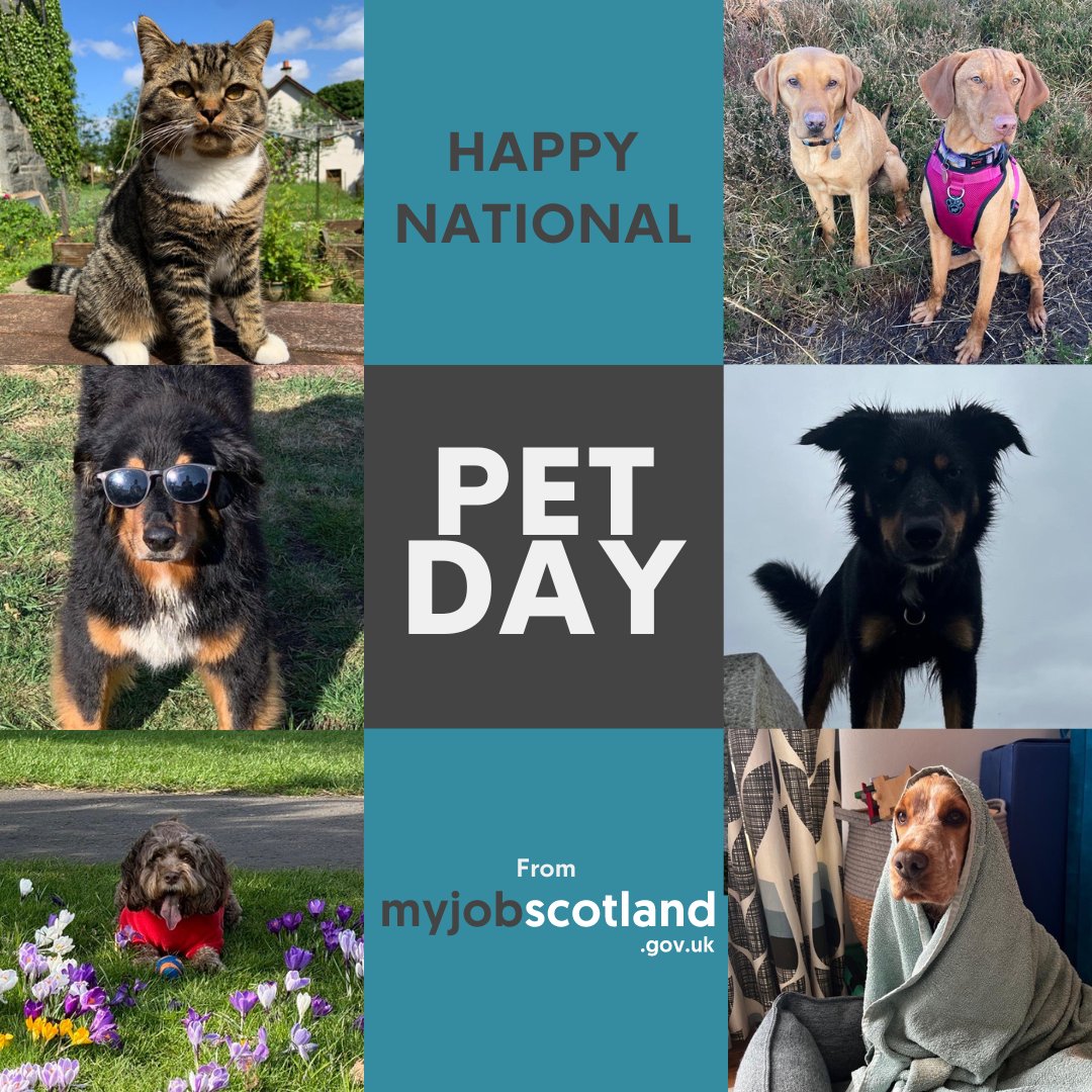 🐾 Happy National Pet Day from our team's fur babies to yours 🐾 #nationalpetday #NationalPetDay2024