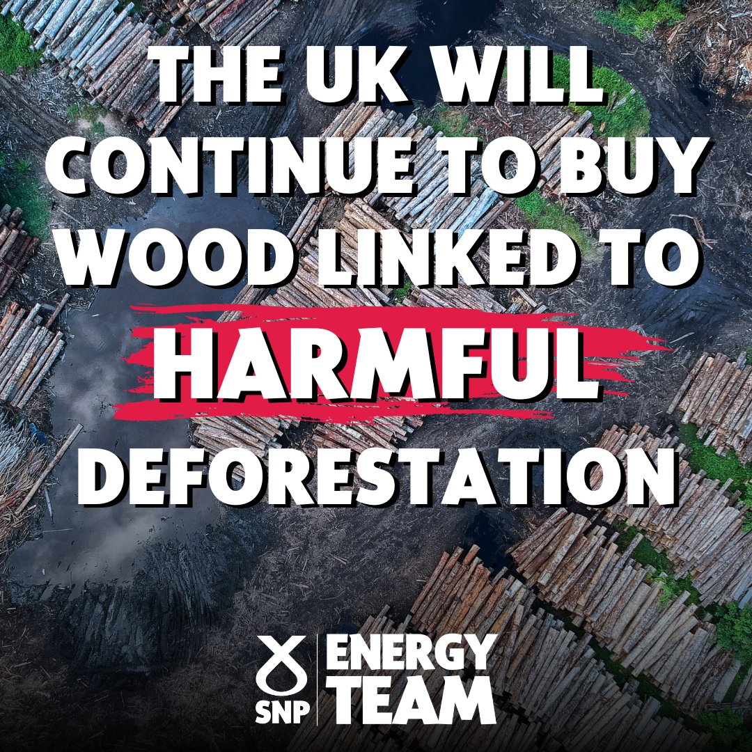 ❌ The UK Government have rejected the @commonsEAC recommendation to adopt a 'zero deforestation' approach. 🌿This would have increased protection for natural environments at risk of deforestation. 🪵Instead the UK Gov continue to support the purchasing of unsustainable wood.