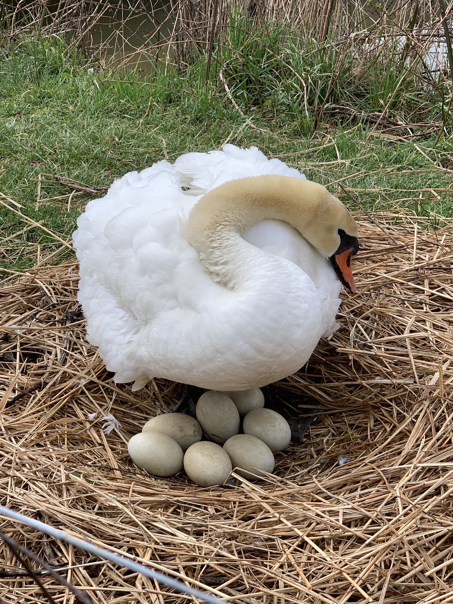 Happy Momma!