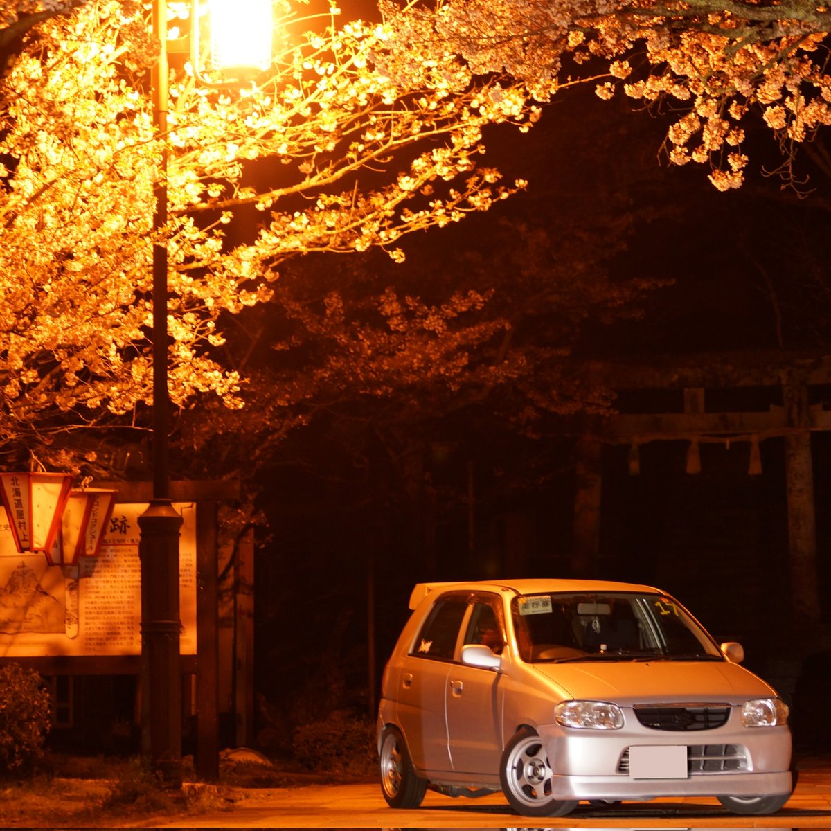 とてもよい。
写真ありがとうございます🌸