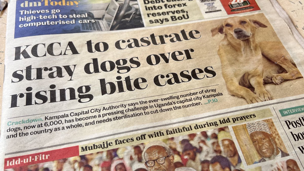 6,000 stray dogs in Kampala?