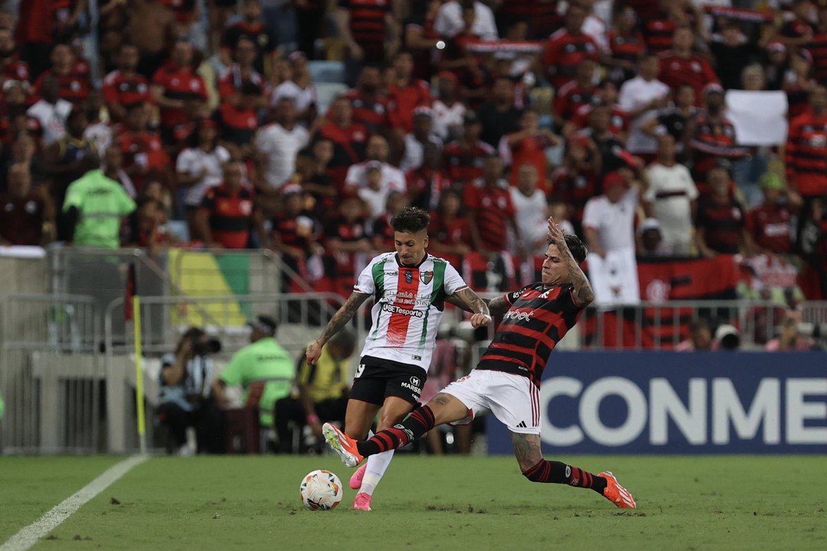 📝 La Crónica: Palestino 0-2 Flamengo 📲 palestino.cl/copa-conmebol-… #TodoUnPueblo 🇵🇸