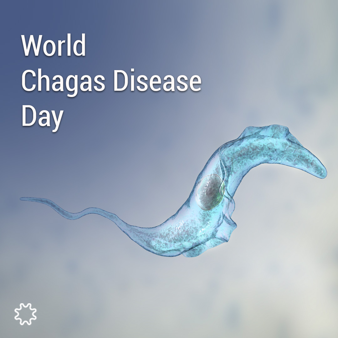 #WorldChagasDiseaseDay is a reminder of the importance of raising awareness and taking action to achieve proper diagnosis and treatment of this 
 neglected #tropicaldisease

en.vircell.com/products/chaga…
#vircell #chagas #health