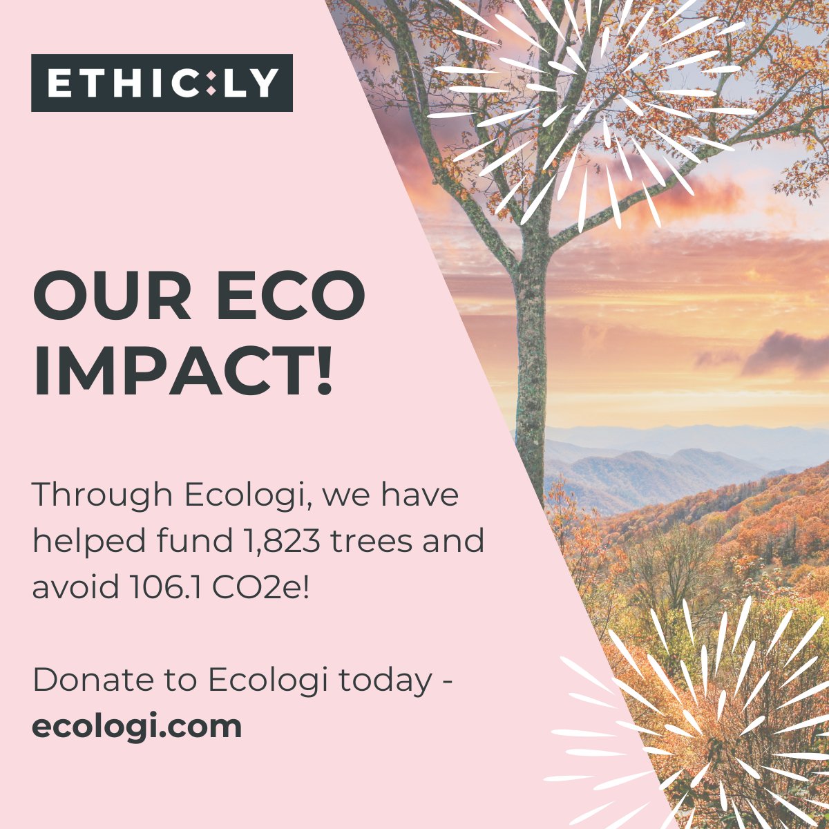 We love giving back to the planet, especially through Ecologi!

Our donations so far have helped fund 1,823 trees and avoid 106.1 CO2e 🌱

If you want to start donating to Ecologi, visit the link here - ecologi.com

#Ecologi #SaveThePlanet #Sustainability