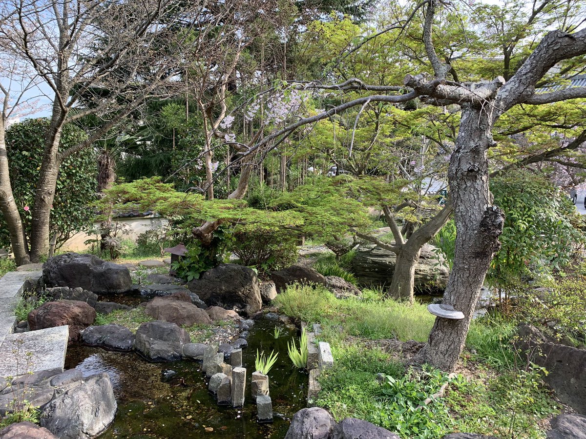 須磨寺の庭に、猿の腰掛けを発見💡🐒✨実物は初めて見ました！

#日本庭園
#須磨寺
#猿の腰掛け
