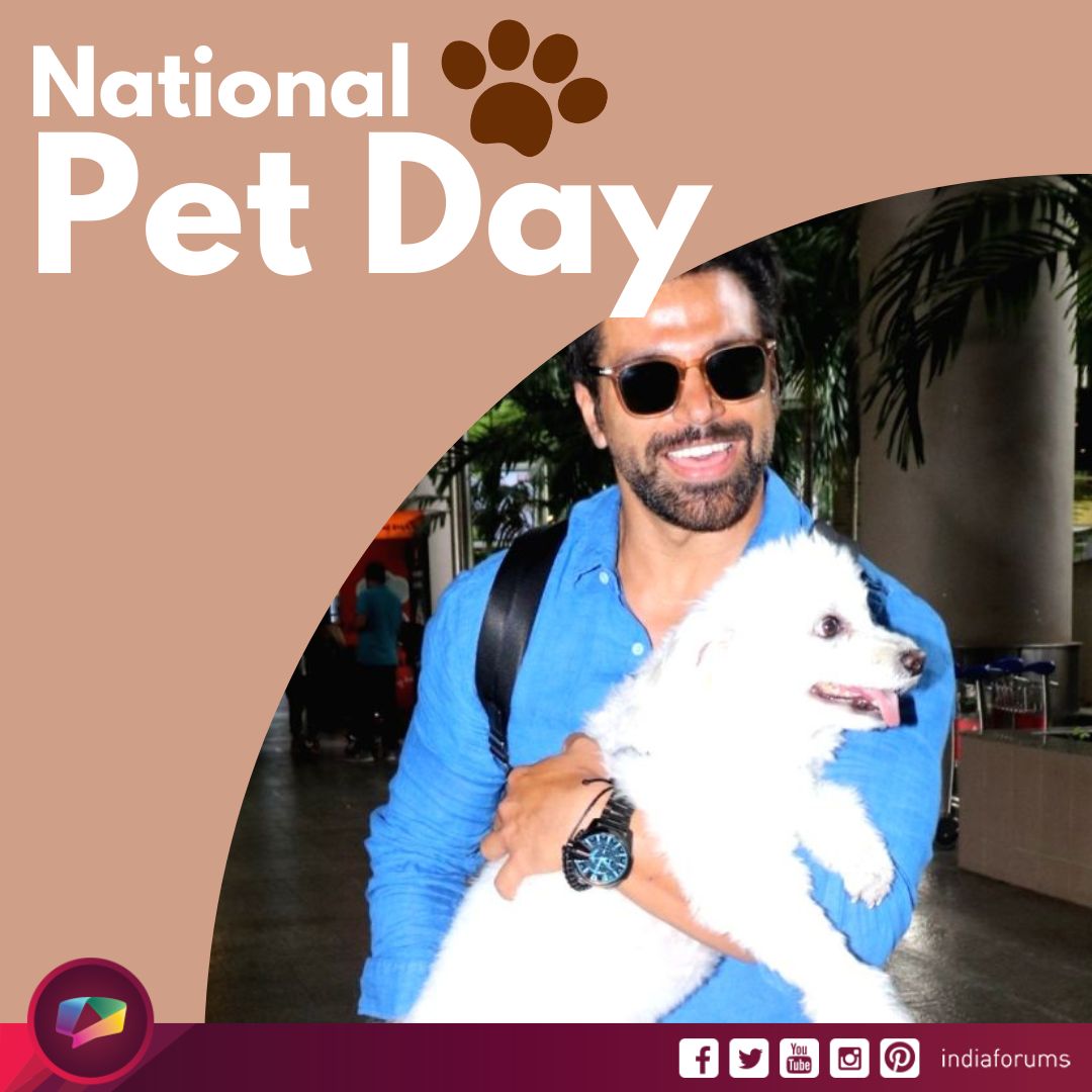 #NationalPetDay: Let's celebrate National Pet Day by giving extra cuddles to our beloved pets! 🥰🐾 
.
.
.
#TinaDatta #ArjunBijlani #RupaliGanguly #JenniferWinget #RithvikDhanjani #JacquelineFernandez #VijayDevarakonda #ShraddhaKapoor #AliaBhatt #PriyankaChopra #PetDay #PetLover