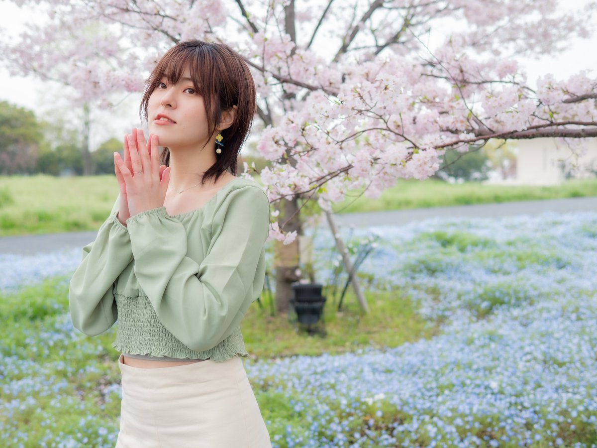 さくらとネモフィラ企画 2024/4/6 location:舎人公園 model:#とた さん @hato_amatou #桜 #ネモフィラ #朝撮 #ポートレート #portrait #ファインダー越しの私の世界