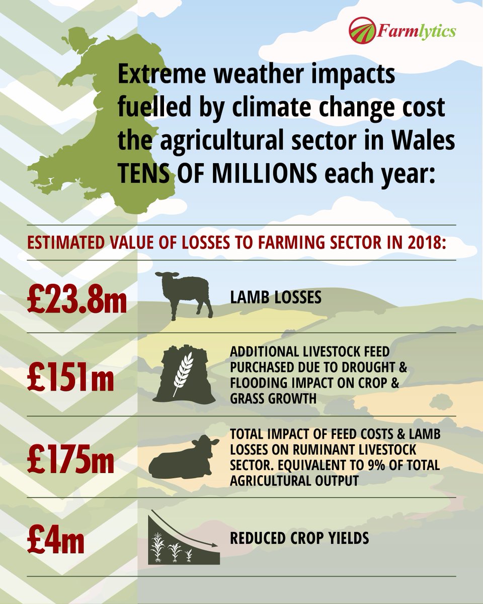 Extreme weather caused by climate change is already costing farmers in Wales tens of millions of pounds. The effects of changing weather patterns cost farmers £175m in 2018 alone, the new @farmlytics report estimates. Let's take a look at what that means across the sector 👇