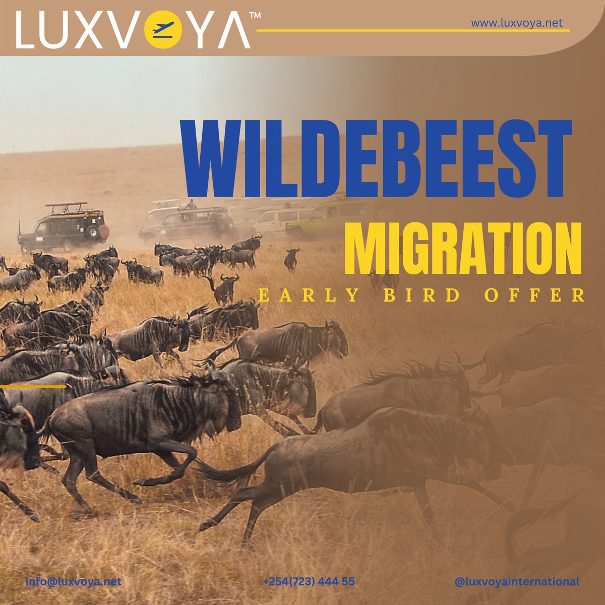 Don't miss out on our early bird offer! Secure your spot now by DM, call, or WhatsApp us at 0723444555. Limited time only! 

 #earlybirdoffer #wildebeestmigrationwithluxvoyo