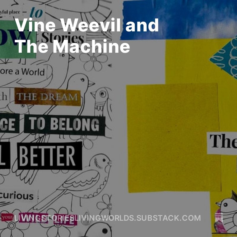 Over the Easter holiday, I met Vine Weevil in the garden. My latest writing explores how this meeting brings me up front and deeply concerned with my relationship to the living world…

open.substack.com/pub/livingstor…

#livingstorieslivingworlds