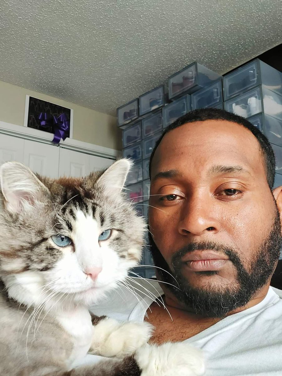 chrisfrench32's tweet photo. @wfaa Dexter The Cat 5 Year Old

#IAmUp https://t.co/yb2QuJJs7K